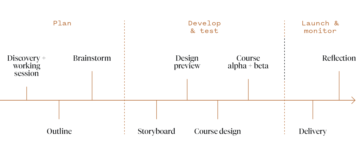 eLearning Process